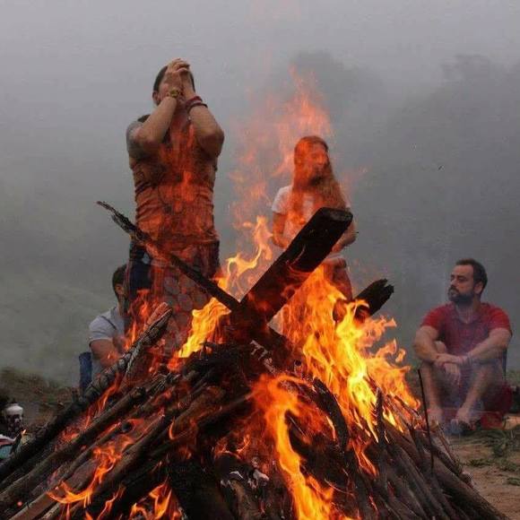 Meet your Posher, Daune - Picture 1 of 1